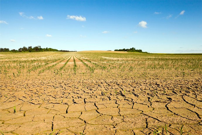 Der Klimawandel gefährdet die psychische Gesundheit. Daher ist es wichtig, neu auftretende Syndrome wie beispielsweise Solastalgie in den Blick zu nehmen. Solastalgie bezeichnet ein belastendes Gefühl des Verlustes, das entsteht, wenn jemand die Veränderung oder Zerstörung der eigenen Heimat direkt miterlebt.