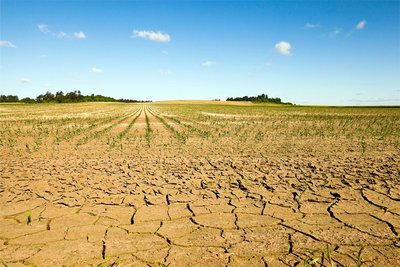 Der Klimawandel gefährdet die psychische Gesundheit. Daher ist es wichtig, neu auftretende Syndrome wie beispielsweise Solastalgie in den Blick zu nehmen. Solastalgie bezeichnet ein belastendes Gefühl des Verlustes, das entsteht, wenn jemand die Veränderung oder Zerstörung der eigenen Heimat direkt miterlebt.