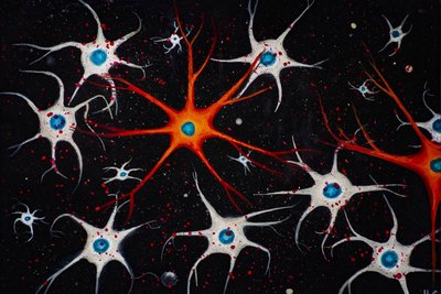 Die sternförmigen Astrozyten sind für die Regulation unserer Emotionen wichtig.