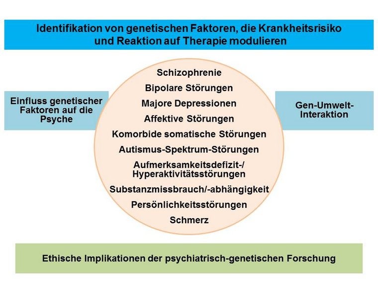 Themenbereiche der Abteilung