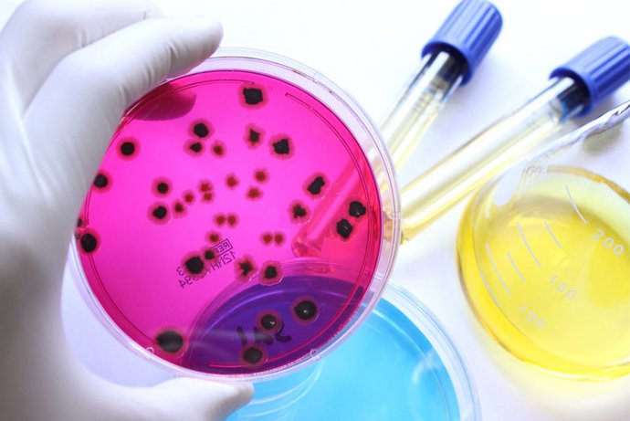 The 3R Center supports research projects that obtain data using alternative approaches, such as cell systems and organoids. This should further reduce the number of animal experiments.