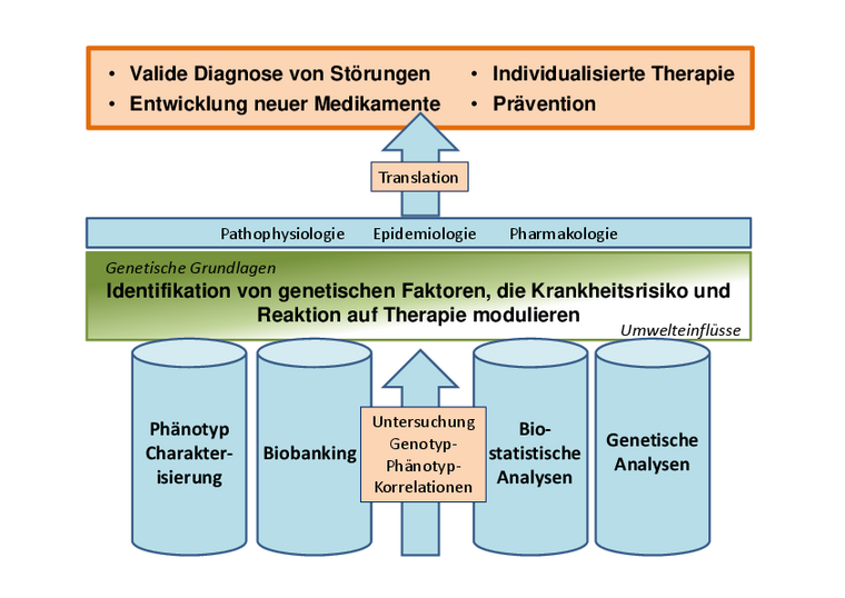 4 Säulen der Abteilung
