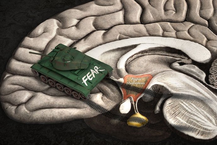 Forscher identifizieren Angst-Erinnerungen im Hypothalamus