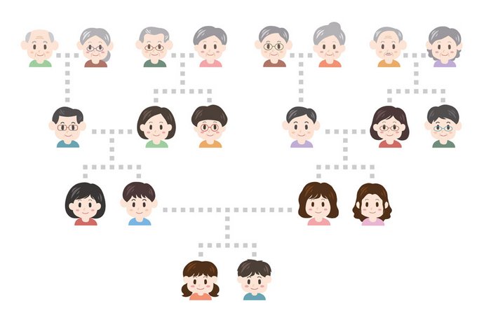 Stammbaum einer Familie: Forscher haben herausgefunden, dass häufig vorkommende genetische Risiko-Varianten bei bipolarer Störung eine wichtig Rolle spielen. 